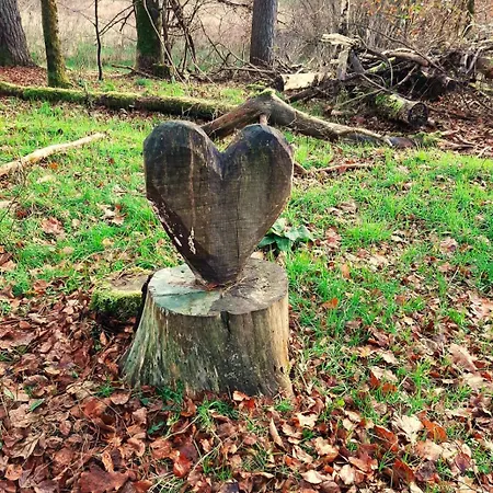 度假居 Rausblick Bruchweiler-Bärenbach