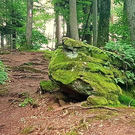 Rausblick Holiday home *