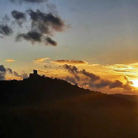 Rausblick Dom wakacyjny Bruchweiler-Bärenbach