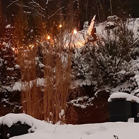 Rausblick Bruchweiler-Barenbach