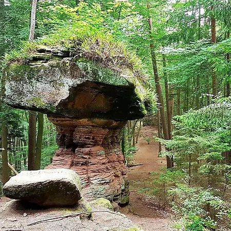 Rausblick