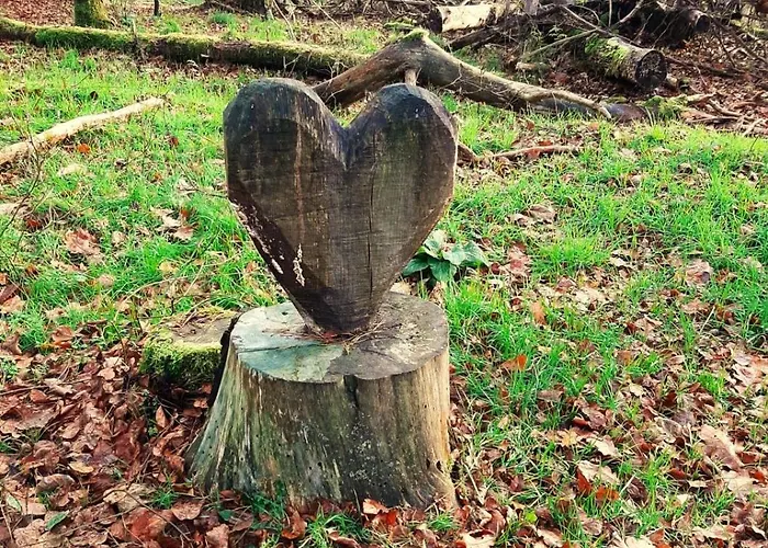 Holiday home Rausblick Bruchweiler-Barenbach