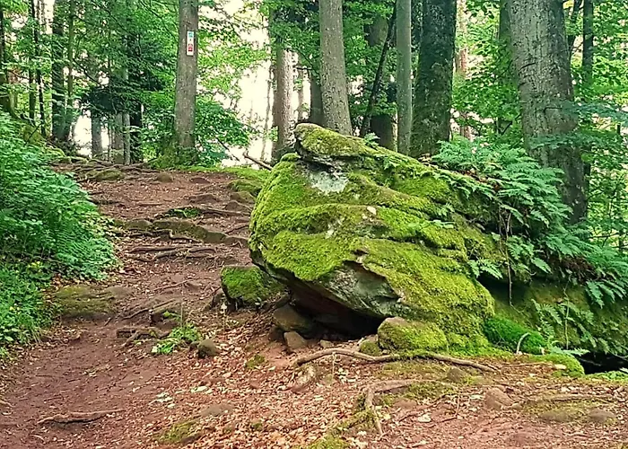 Rausblick Holiday home *