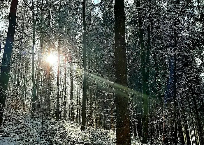 Rausblick Holiday home