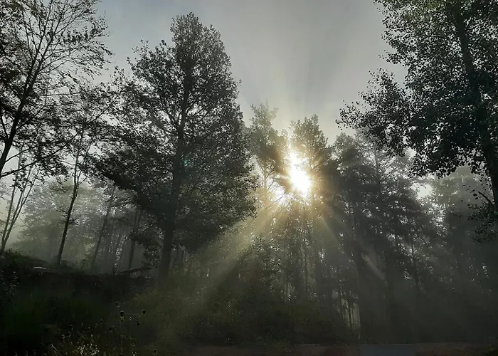 Holiday home Rausblick *