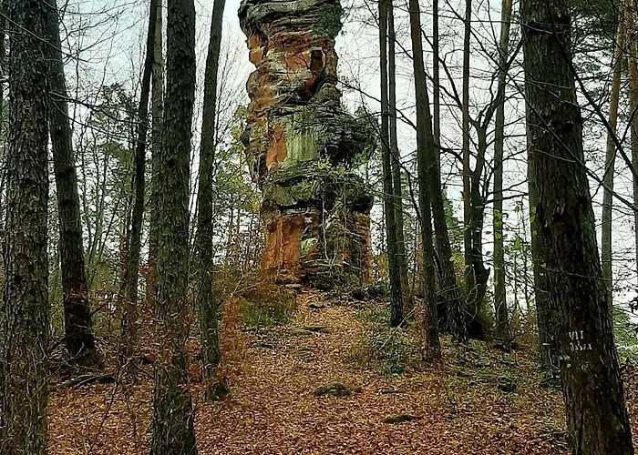 Rausblick Bruchweiler-Barenbach