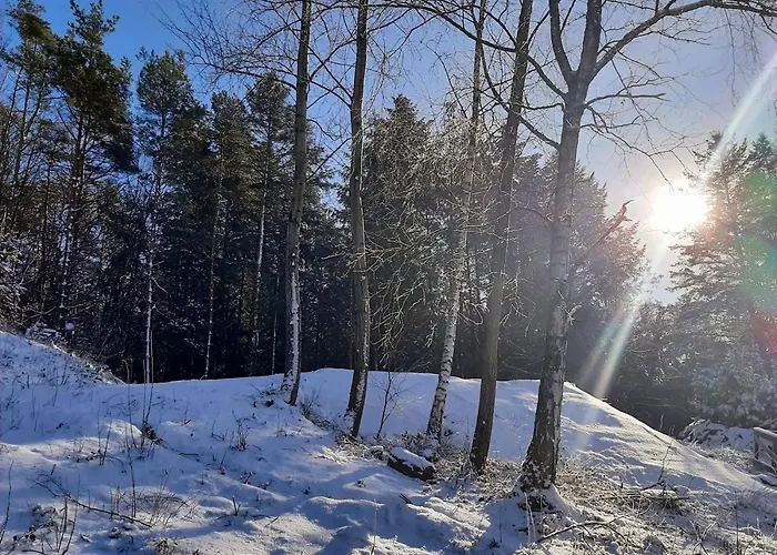 Rausblick Bruchweiler-Barenbach